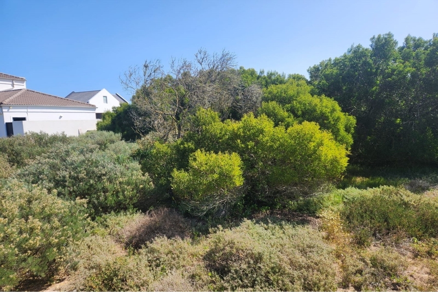 0 Bedroom Property for Sale in Shelley Point Western Cape